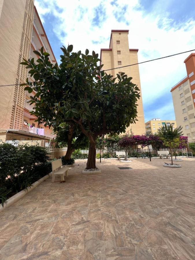 Ap Cande Playa De Gandia Kültér fotó